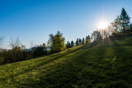 sun just above lye in mountains with forestの写真素材