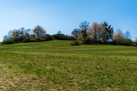 green pastures and trees blooming in spring on a clear day with blu e sky, czech beskydyの写真素材