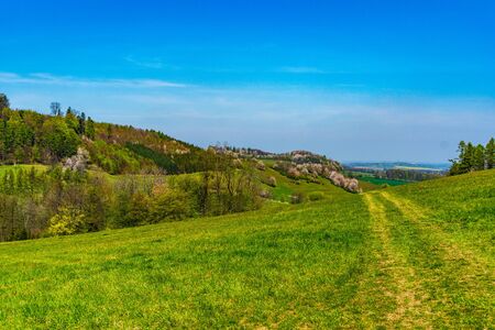 green fields and beautiful hills colored green and white in early springの写真素材