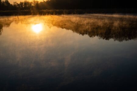 sunrise over the lake with tree reflection and beautiful fogの写真素材