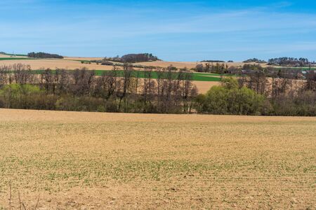 Agricultural landscape, arable crop fieldの写真素材