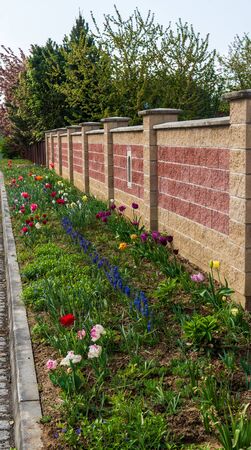 Colorful garden border, flower bed , concrete fenceの写真素材