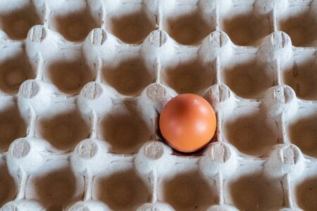 One chicken egg in an egg boxの写真素材