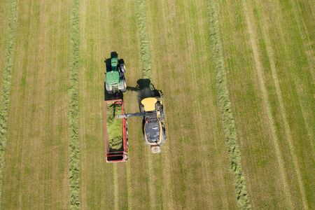 Agriculture, harvest time, new yellow combine harvester cutting silage in flatbed truck on green field at summer day. Endless fieldの写真素材