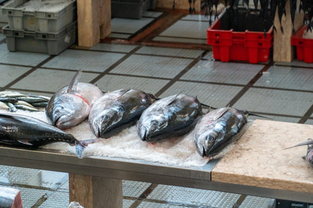 People cut red fish on the table in the work shop at the fish factory.