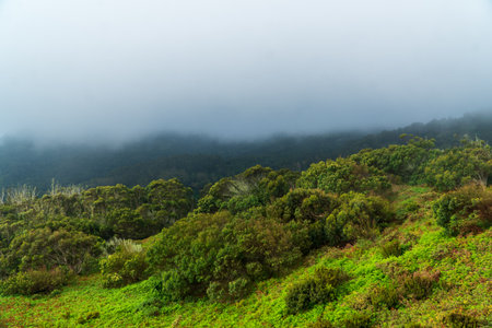 majestic view of the cliffs at Ponta de Sao Lourenco, Madeira, Portugalの写真素材