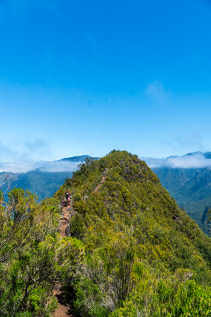 Woman hiker on a top of a mountain. Tourist woman hiker on top of the mountain. Active life concept. Backpacker in the summer mountainsの写真素材