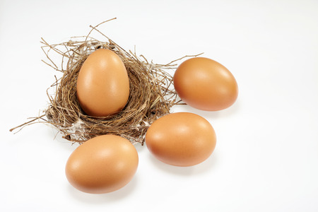 Eggs with nest  isolated on white backgroundの写真素材