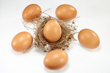 Eggs with nest  isolated on white backgroundの写真素材
