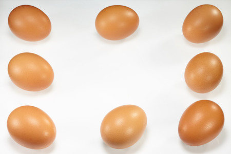 eggs isolated on white backgroundの写真素材