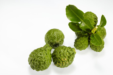 Kaffir Lime with leaves isolated on white backroundの写真素材