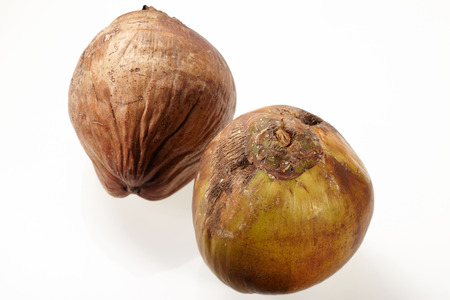 Coconut isolated on white Backgroundの写真素材