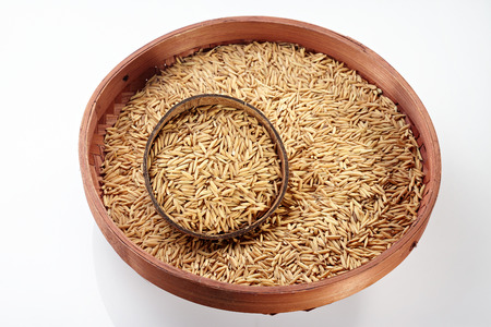 Paddy on coconut  Tray isolated on white backgroundの写真素材