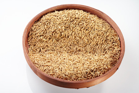 Paddy on Tray isolated on white backgroundの写真素材