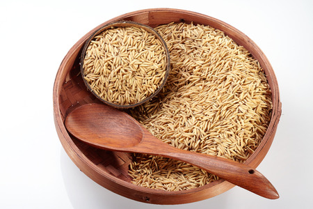Paddy on coconut  Tray isolated on white backgroundの写真素材