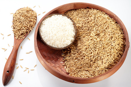 Paddy on Tray  Wood Spoon and rice on coconut isolated on white backgroundの写真素材