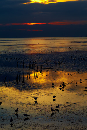 Sunset at gulf of Thailandの写真素材