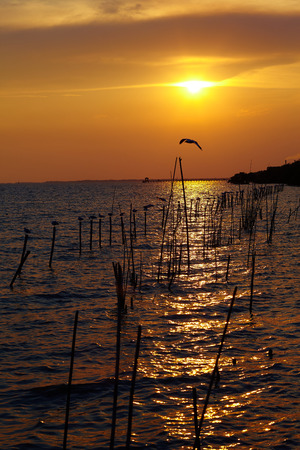 Sunset at gulf of Thailandの写真素材