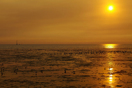 Sunset at gulf of Thailandの写真素材