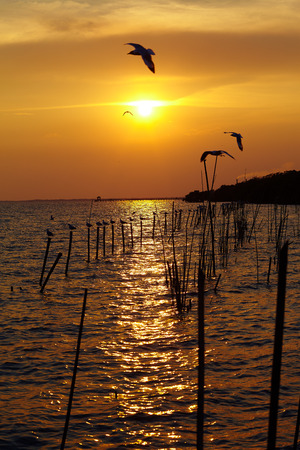 Sunset at gulf of Thailandの写真素材
