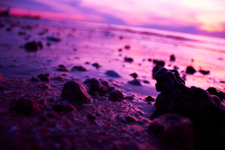 Stone on beach in close up view.の写真素材