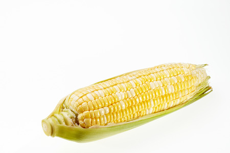 Corn isolated on white backgroundの写真素材