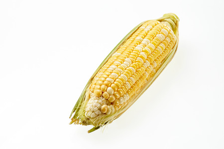 Corn isolated on white backgroundの写真素材
