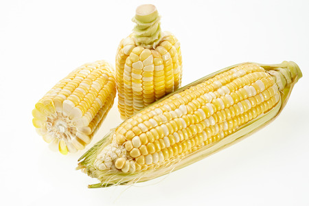 Corn isolated on white backgroundの写真素材