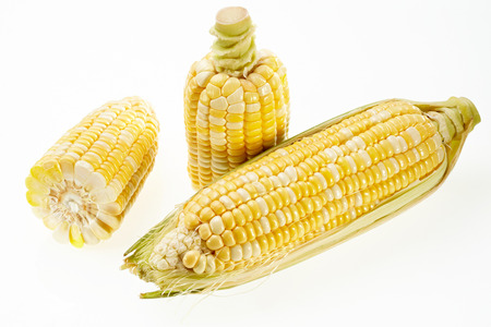 Corn isolated on white backgroundの写真素材