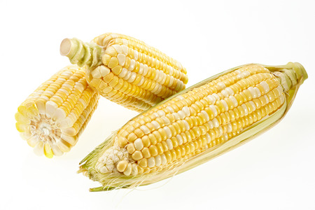 Corn isolated on white backgroundの写真素材