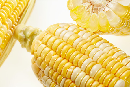 Corn isolated on white background