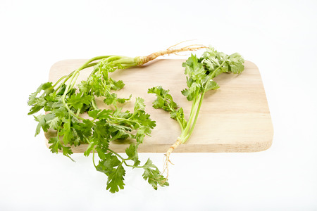 Parsley on chopping block isolated on white background.の写真素材
