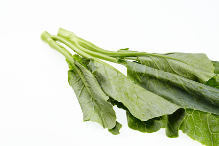 Collard or chinese kale isolated on white background.の写真素材