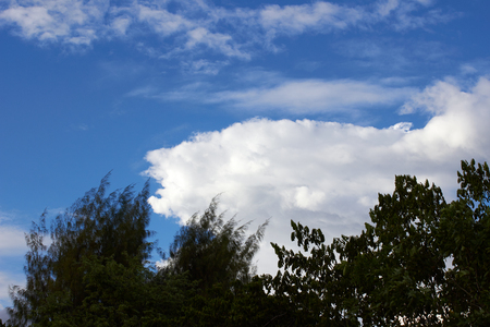 Beautiful trees and clouds on blue skyの写真素材