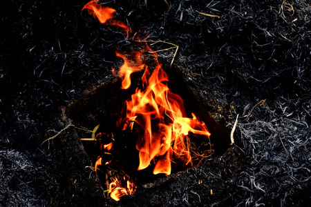 Straw is burning.の写真素材