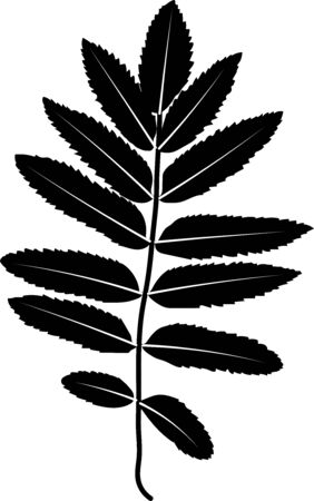Black leaf silhouette on white backgroundのイラスト素材