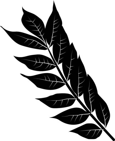 Vector Illustration Keywords:のイラスト素材