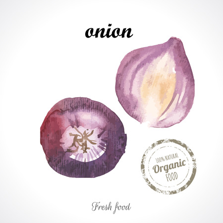 Watercolor vegetables. Violet onion. Provencal style. Recent watercolor paintings of organic foodのイラスト素材
