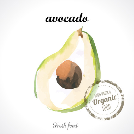 Watercolor green fresh avocado. Provencal style. Recent watercolor paintings of organic food. Veggie menuのイラスト素材