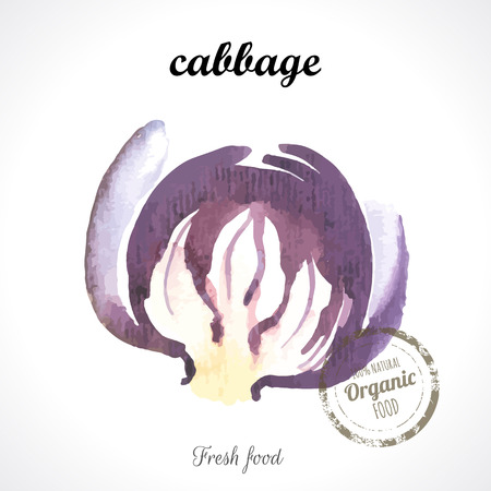 Watercolor purple cabbage. Provencal style. Recent watercolor paintings of organic food. Veggie menu. Splittingのイラスト素材