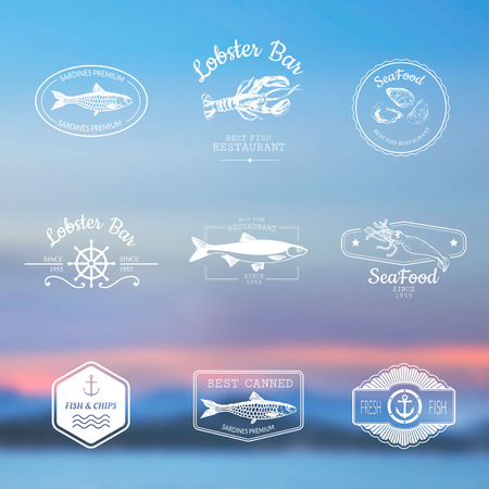 Logo set for fish restaurant or bar with a picture of the fish on blurred background of the sky and the sea.のイラスト素材