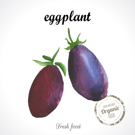 Watercolor eggplant. Provencal style. Recent watercolor paintings of organic food. Veggie menuのイラスト素材