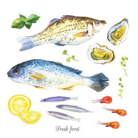 Watercolor set with fish, seafood, oysters, basil and other herbs and spices. Hand-drawn on a white background. Simple painting sketch in vector format.のイラスト素材