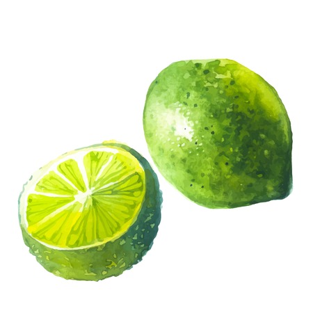 Watercolor illustration of a painting technique. Fresh organic food.のイラスト素材