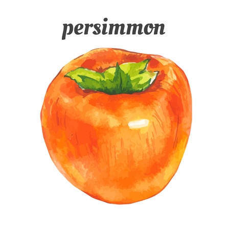 Watercolor illustration of a painting technique. Fresh organic food.のイラスト素材