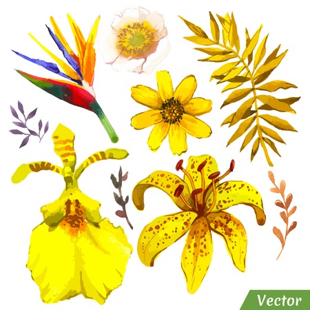Painting yellow set of flowers with lily, orchid and leaves and palm leaves.のイラスト素材