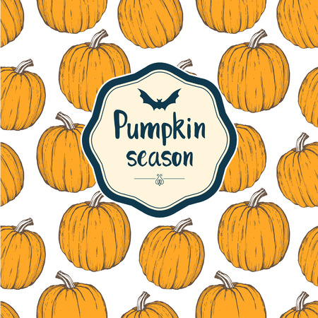 Different varieties of pumpkins. Sketches of orange pumpkins. のイラスト素材