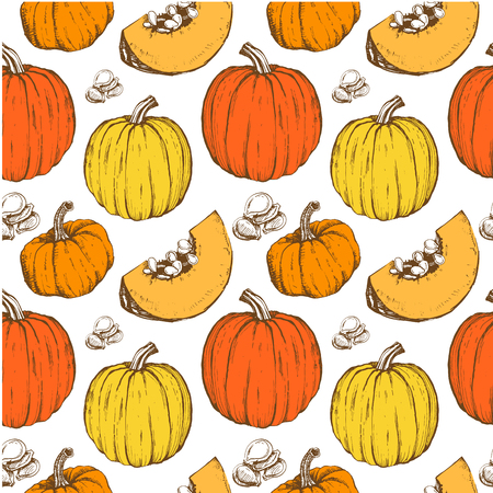 Sketches of orange pumpkins. のイラスト素材