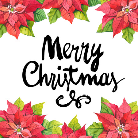 Beautiful christmas bouquet and headline with winter flowers and plants on white background. Composition with  poinsettia.の写真素材