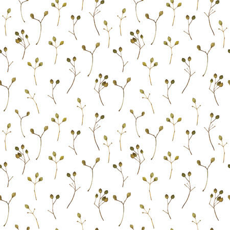 Natural pattern on a white background. Watercolor realistic plants.の写真素材